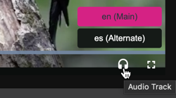 Stellen Sie die Sprache der Audiospur ein