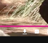 Laden Sie das Video Plugin herunter