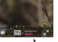Horizontale Lautstärkeregelung (nur 1.x Player)