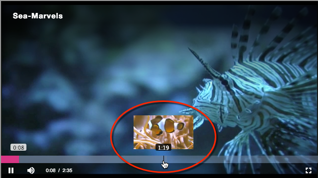 Thumbnail-Plugin-Anzeige
