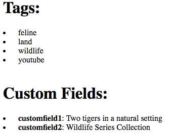 Tags und benutzerdefinierte Anzeige in HTML